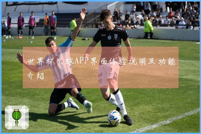 世界杯买球APP界面体验说明及功能介绍