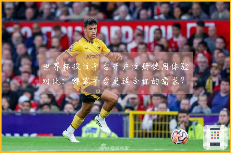 世界杯投注平台开户注册使用体验对比:哪家平台更适合你的需求?