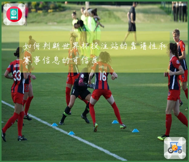 如何判断世界杯投注站的靠谱性和赛事信息的可信度