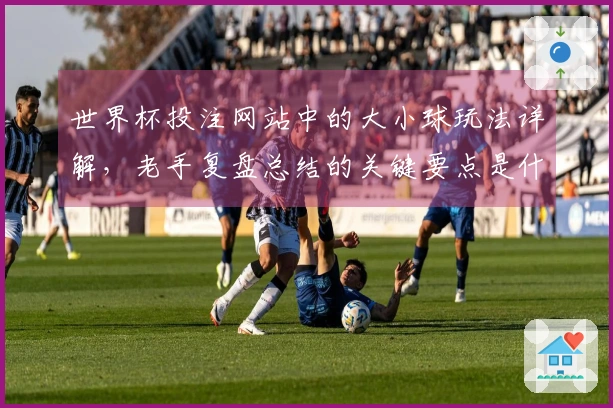 世界杯投注网站中的大小球玩法详解，老手复盘总结的关键要点是什么？