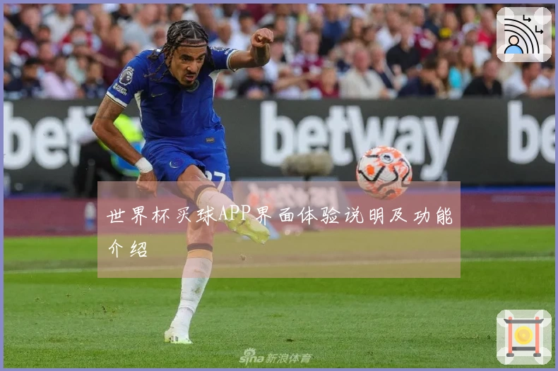 世界杯买球APP界面体验说明及功能介绍