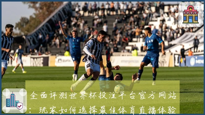 全面评测世界杯投注平台官方网站：玩家如何选择最佳体育直播体验