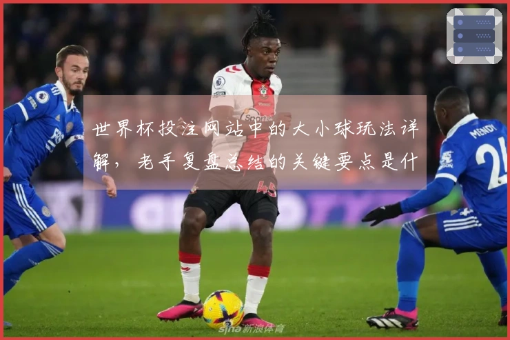 世界杯投注网站中的大小球玩法详解,老手复盘总结的关键要点是什么?